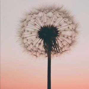 Meet your Posher, Liz